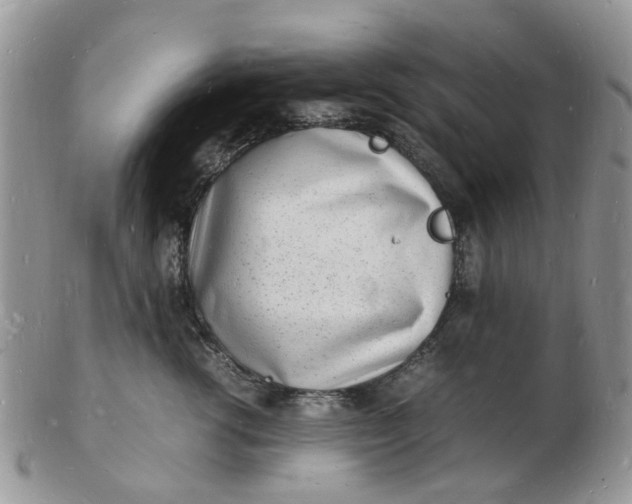 X0000102780762200809021052