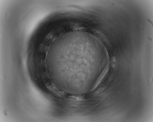 X0000102780763200809021052