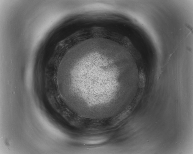 X0000102780765200809021052