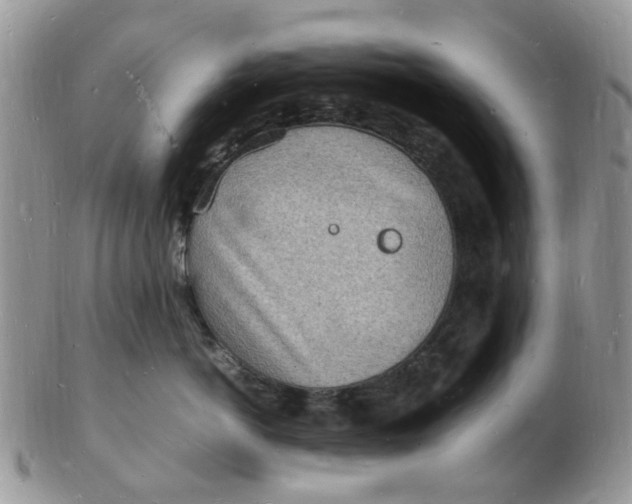 X0000102780766200809021052