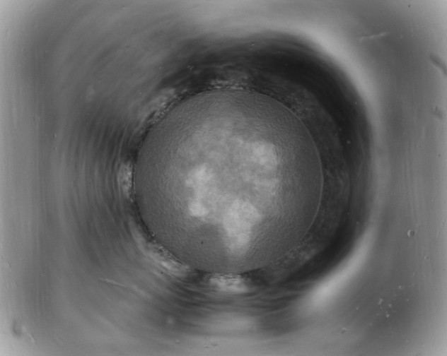 X0000102780767200809021052