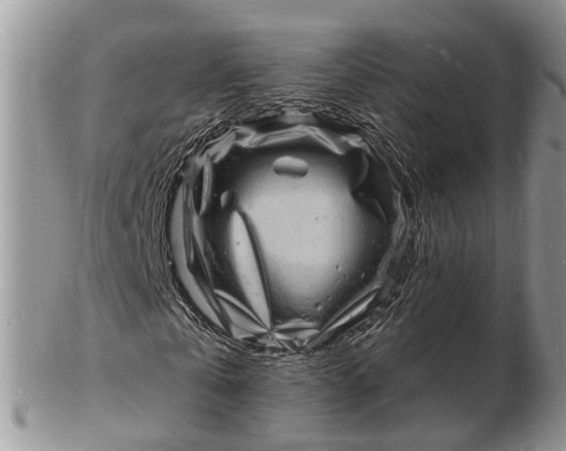 X0000102780769200809021051