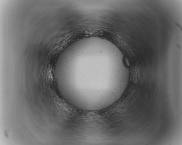 X0000102780770200809021051