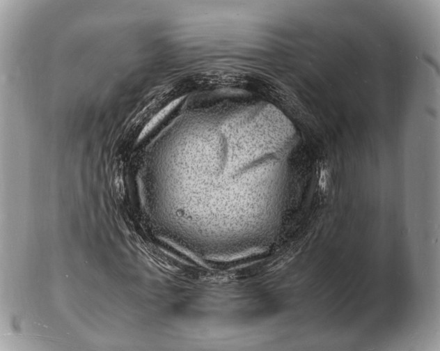 X0000102780771200809021051