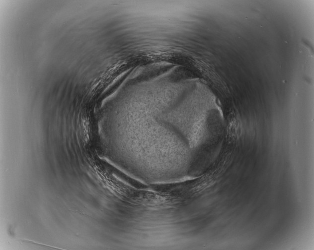 X0000102780772200809021051