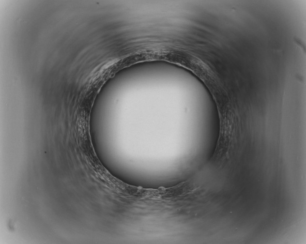 X0000102780773200809021051