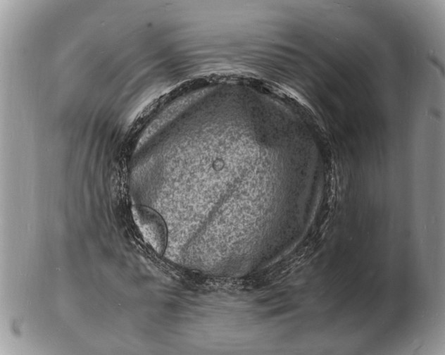 X0000102780775200809021051