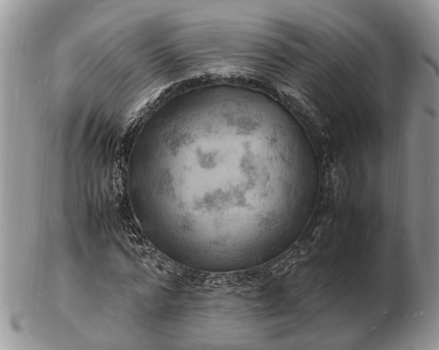 X0000102780776200809021051