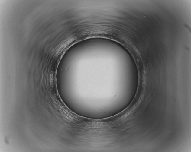 X0000102780777200809021051