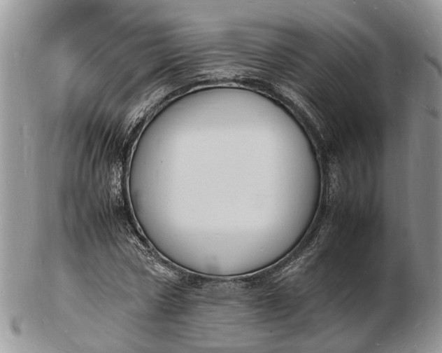 X0000102780778200809021051