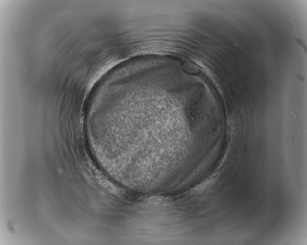 X0000102780779200809021051