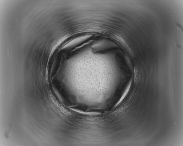 X0000102780780200809021051