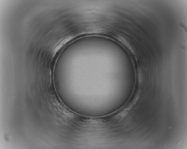 X0000102780781200809021051