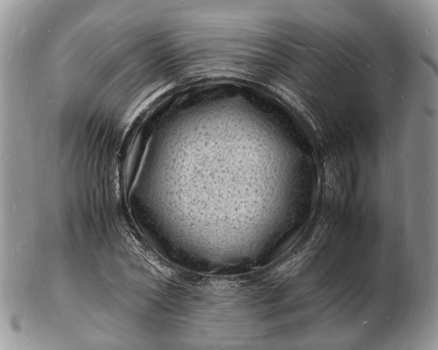 X0000102780782200809021051