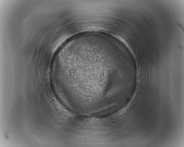 X0000102780783200809021051