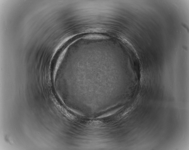 X0000102780784200809021051