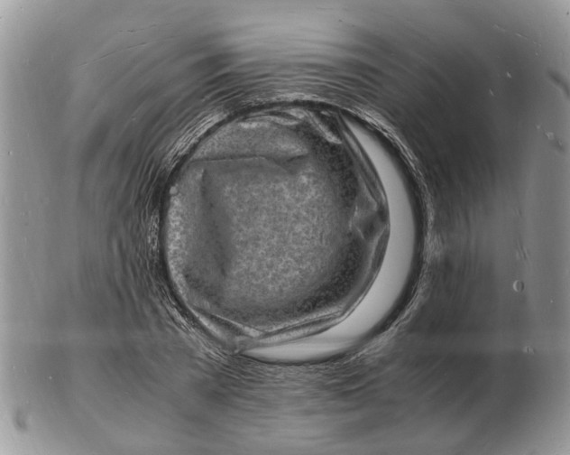 X0000102780785200809021051