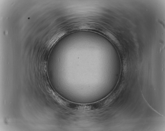 X0000102780793200809021051