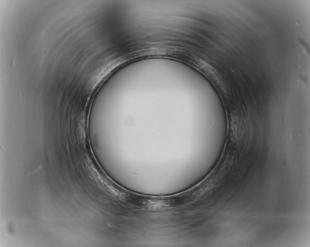 X0000102780794200809021051