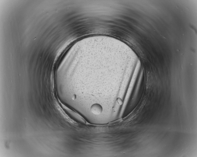 X0000102780796200809021051