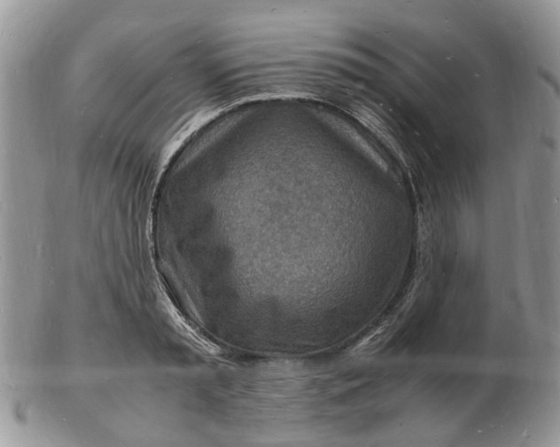 X0000102780797200809021051