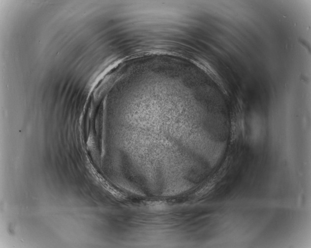 X0000102780798200809021051