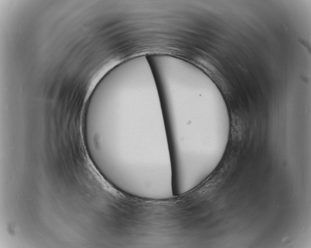 X0000102780804200809021051