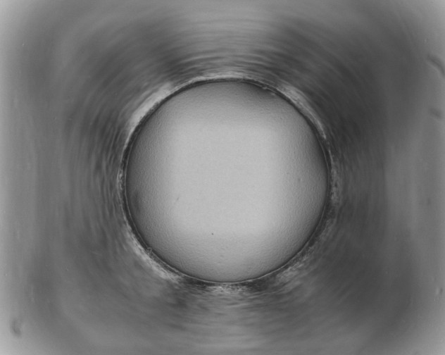 X0000102780805200809021051