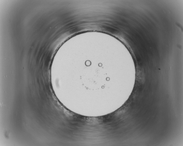 X0000102780807200809021051