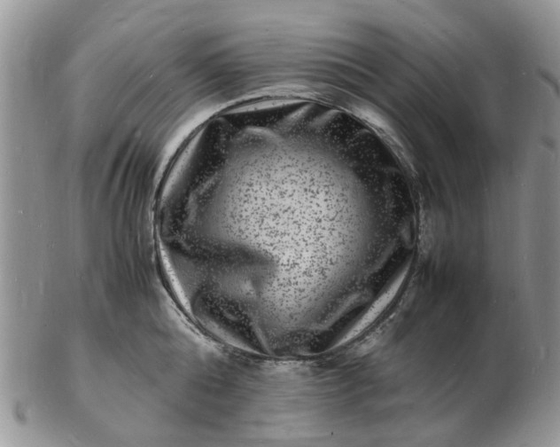 X0000102780808200809021051