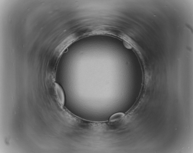 X0000102780809200809021051