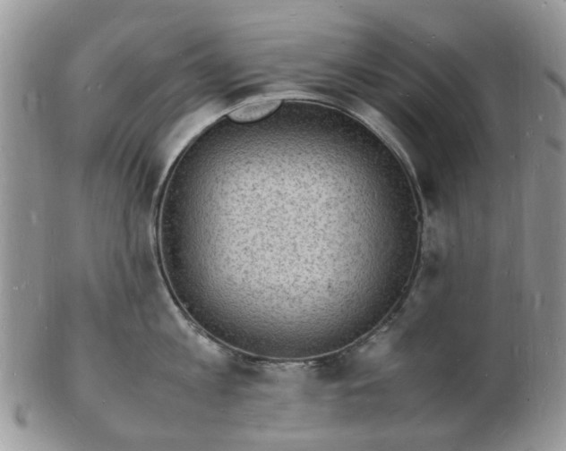 X0000102780813200809021051