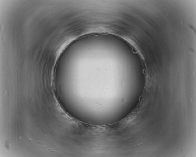 X0000102780815200809021051