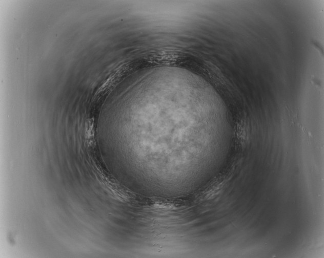 X0000102780818200809021050