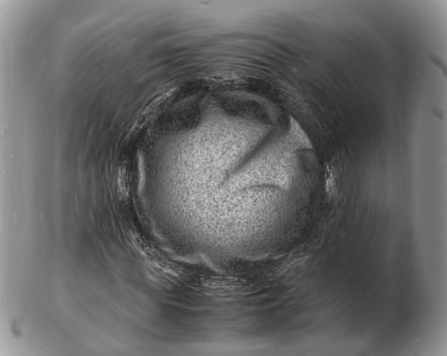 X0000102780819200809021050