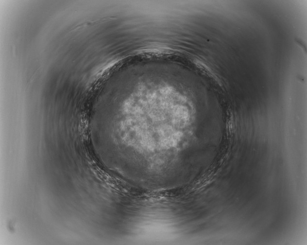 X0000102780822200809021050