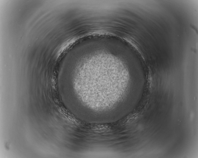 X0000102780823200809021050