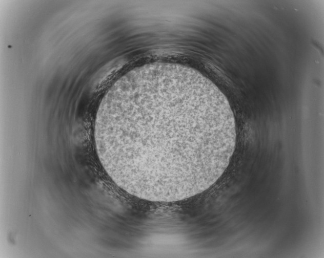 X0000102780824200809021050