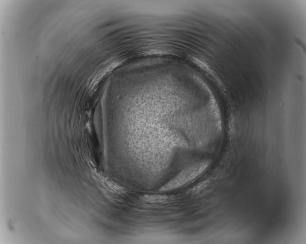 X0000102780825200809021050