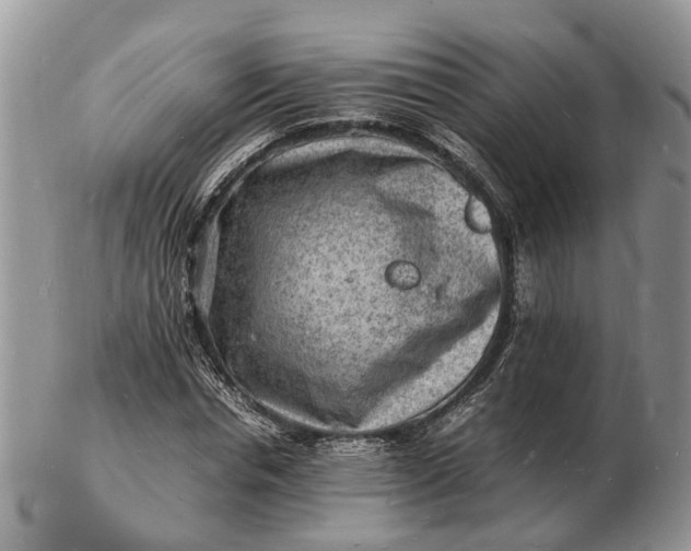 X0000102780826200809021050