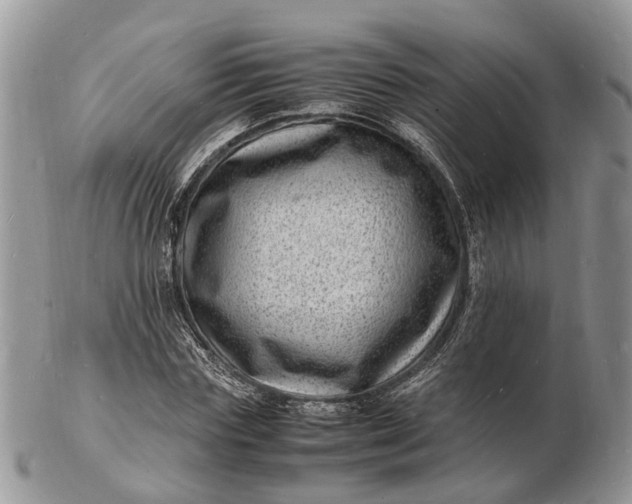 X0000102780827200809021050