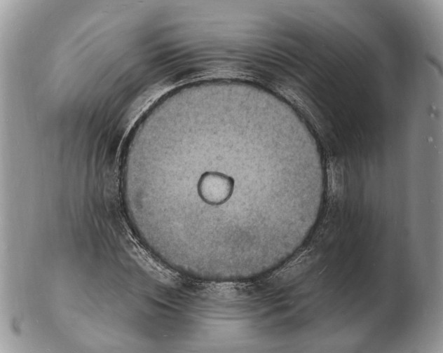 X0000102780828200809021050