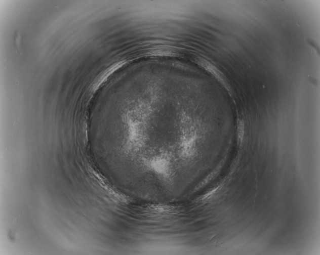 X0000102780829200809021050