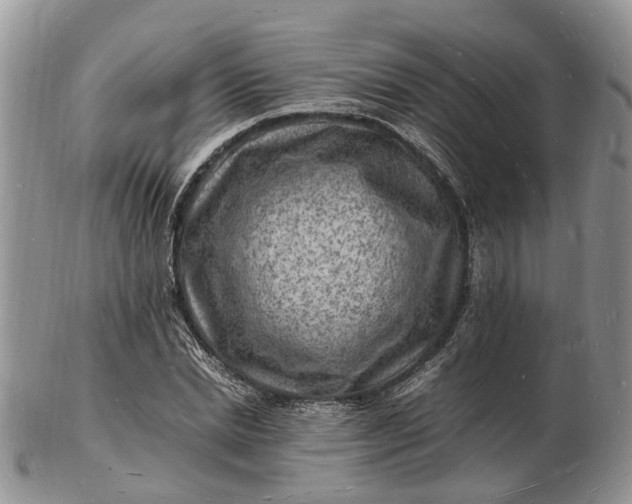 X0000102780830200809021050