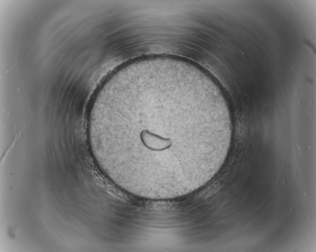 X0000102780832200809021050