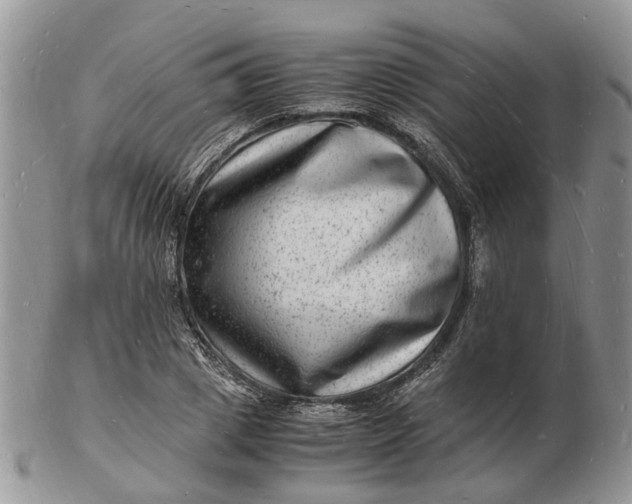 X0000102780833200809021050