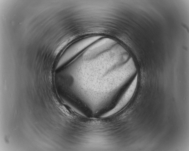 X0000102780834200809021050