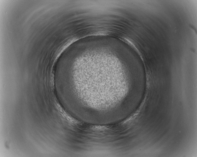 X0000102780835200809021050