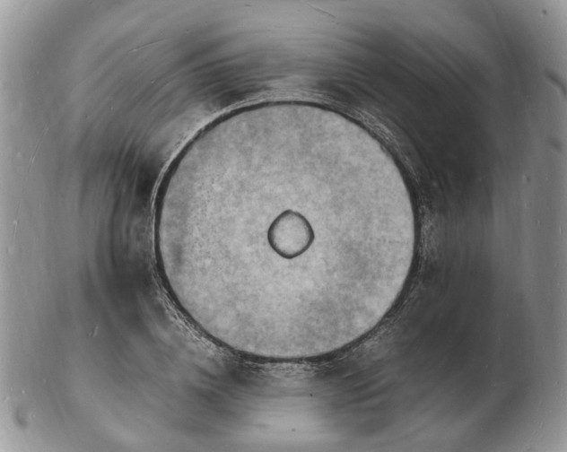 X0000102780836200809021050