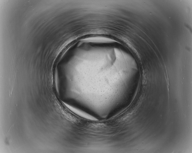 X0000102780837200809021050